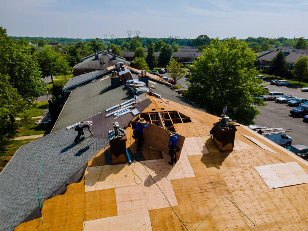 Trusted Storm Damage Roof Repair service in Mount Zion, IL - Brentwood Metal Roofing